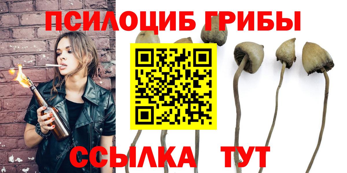 Галлюциногенные грибы Psilocybine cubensis Лянтор